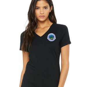 DC-6405 Women’s Relaxed Jersey V-Neck Tee - Image 1