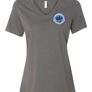 DC-6405 Women’s Relaxed Jersey V-Neck Tee - Image 3