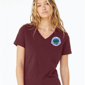 DC-6405 Women’s Relaxed Jersey V-Neck Tee - Image 5