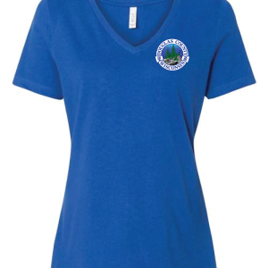 DC-6405 Women’s Relaxed Jersey V-Neck Tee - Image 4