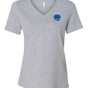 DC-6405CVC Women’s Relaxed Jersey V-Neck Tee - Image 5