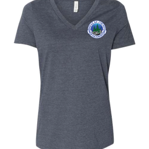 DC-6405CVC Women’s Relaxed Jersey V-Neck Tee - Image 4
