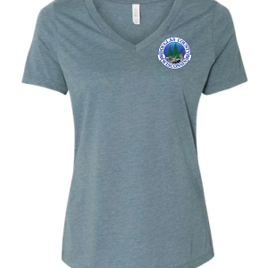 DC-6405CVC Women’s Relaxed Jersey V-Neck Tee - Image 3