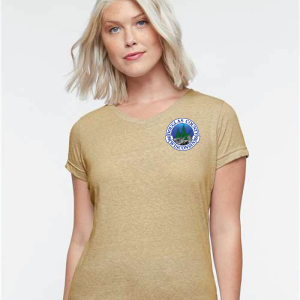 DC-3591 Women's Harborside Mélange V-Neck Tee - Image 1